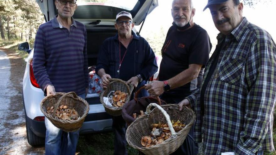 Boletaires mostren els cistells a Gombrèn. | LOURDES CASADEMONT