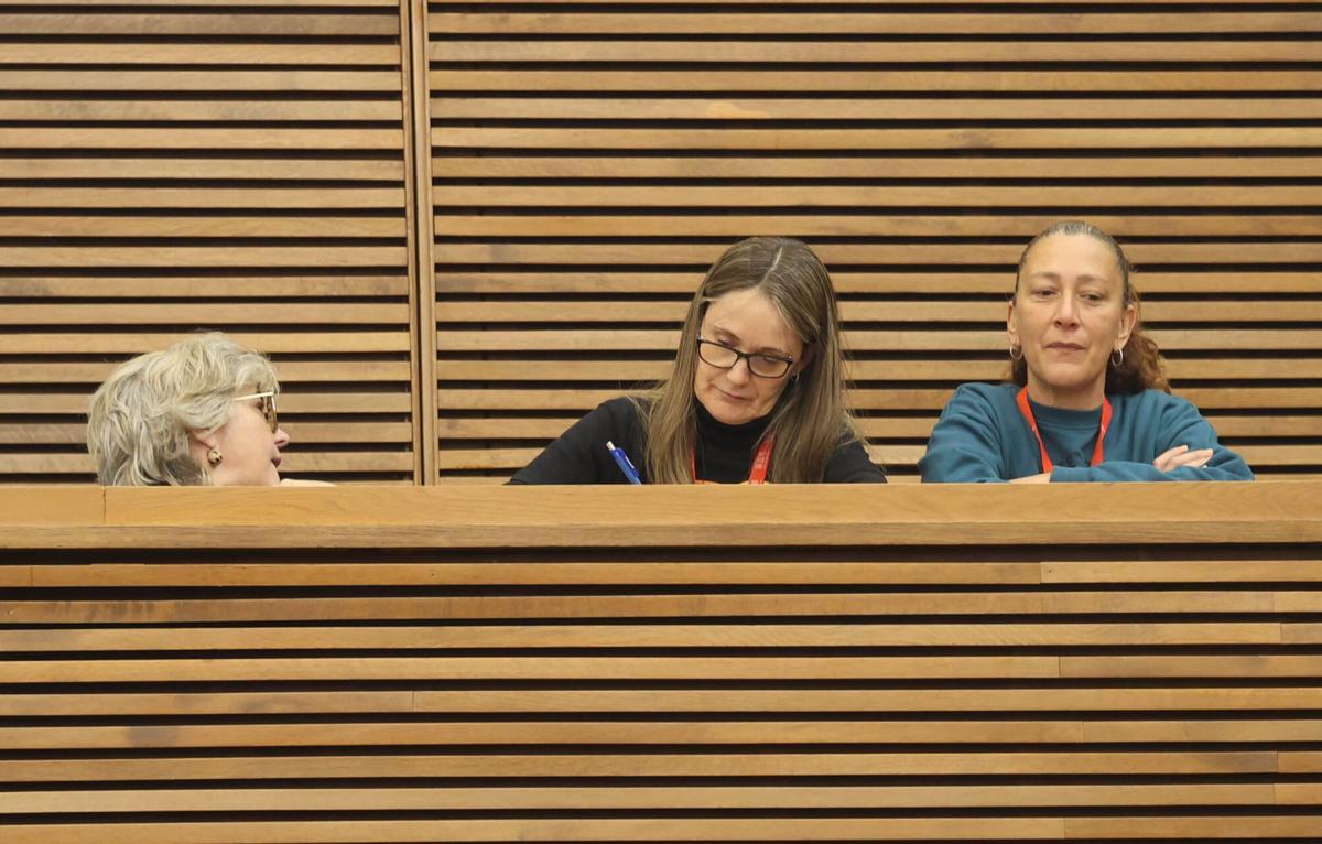 Representantes de las asociaciones de víctimas de la dana durante la investidura de Llorca en las Corts.