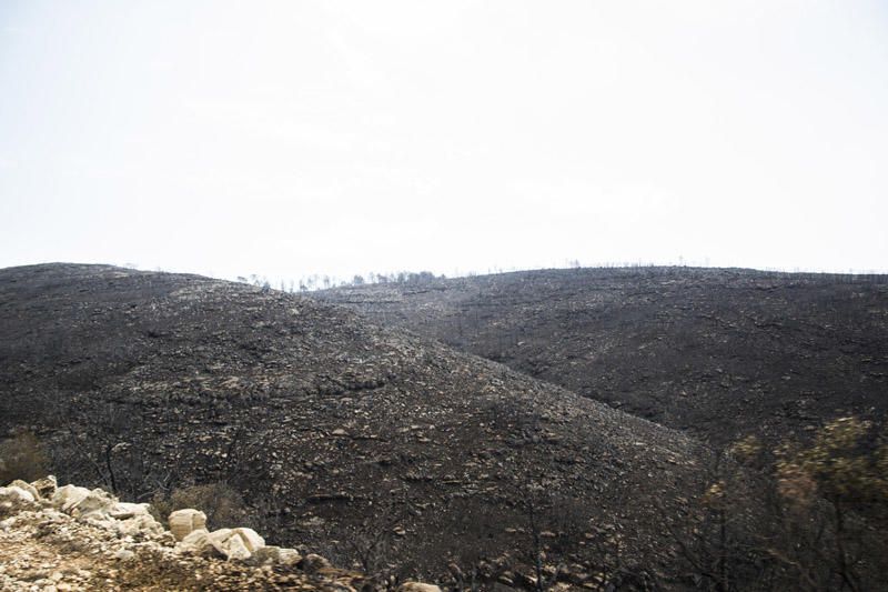 El paraje de El Surar, arrasado por el incendio