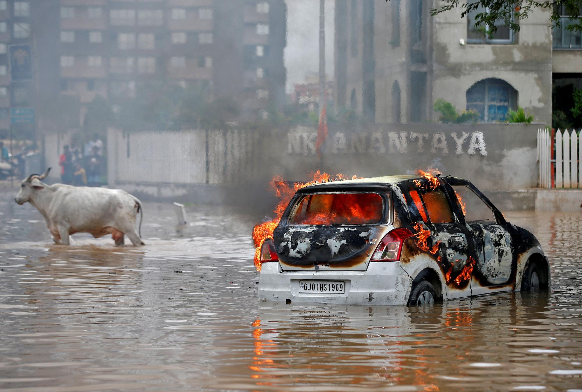 Cow moves past a burning car that caught fire by an electrical short circuit in Ahmedabad