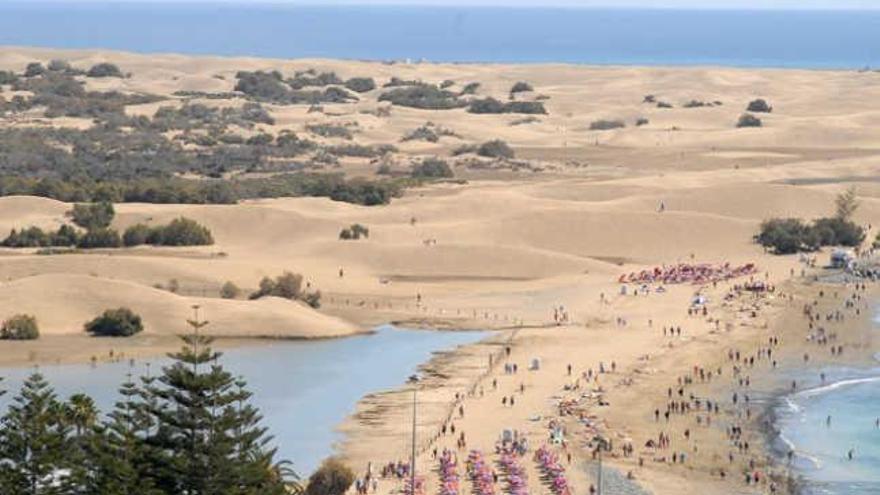 Refuerzan las restricciones de acceso a la Charca y las Dunas de Maspalomas