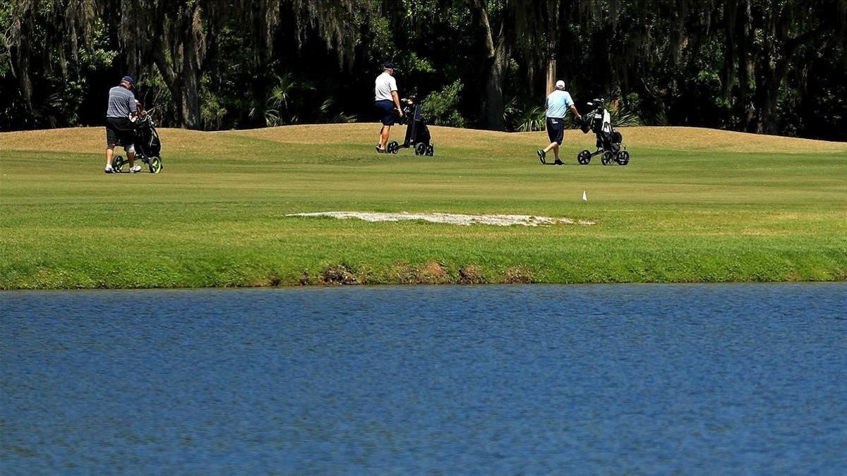 segea52958686 tampa  florida   march 28  as golf courses change their prot200402091132