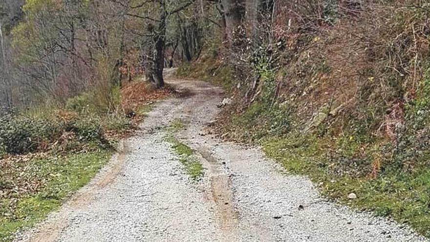 La carretera para la que los vecinos piden el asfaltado.