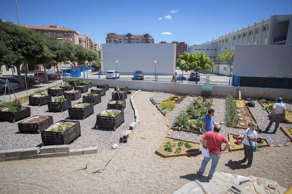 Hort interdisciplinari a l'IES Maltide Salvador de Castelló