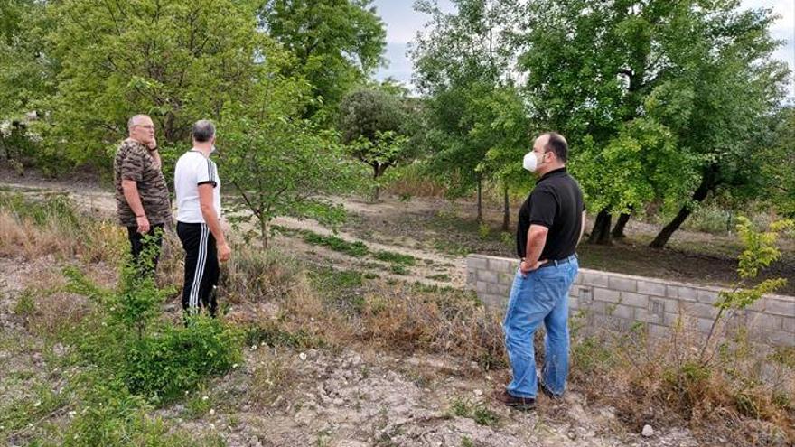 El consistorio adquiere varias parcelas junto a la arboleda de La Loteta