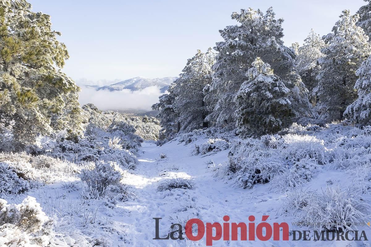 Descubre dónde queda acumulación de nieve en la Región de Murcia