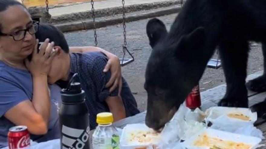 La sorprenent reacció d&#039;una mare davant un ós que devora el menjar de la familia