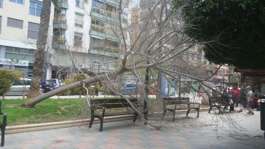 Más de 200 intervenciones de los Bomberos por los efectos del viento en la provincia