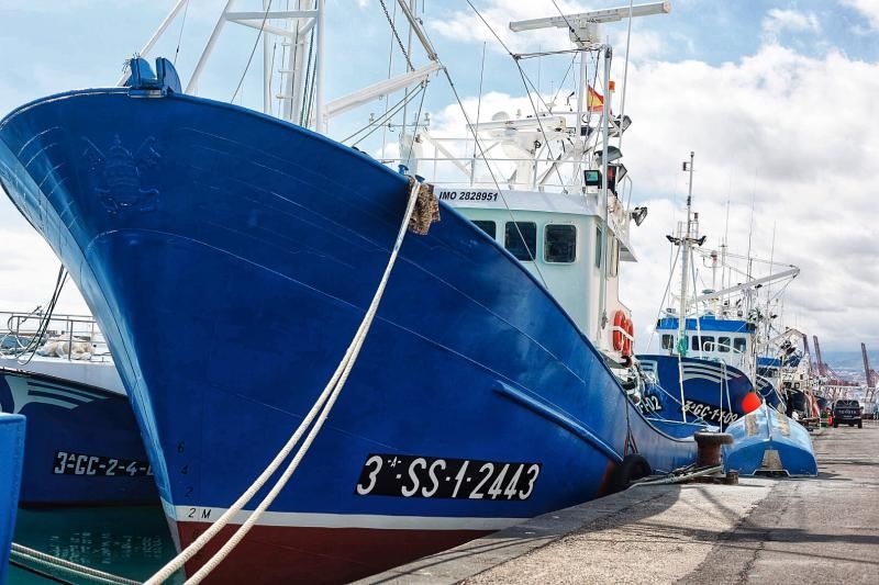 Pesca artesanal | Instalaciones de Canarias TUNA en Tenerife