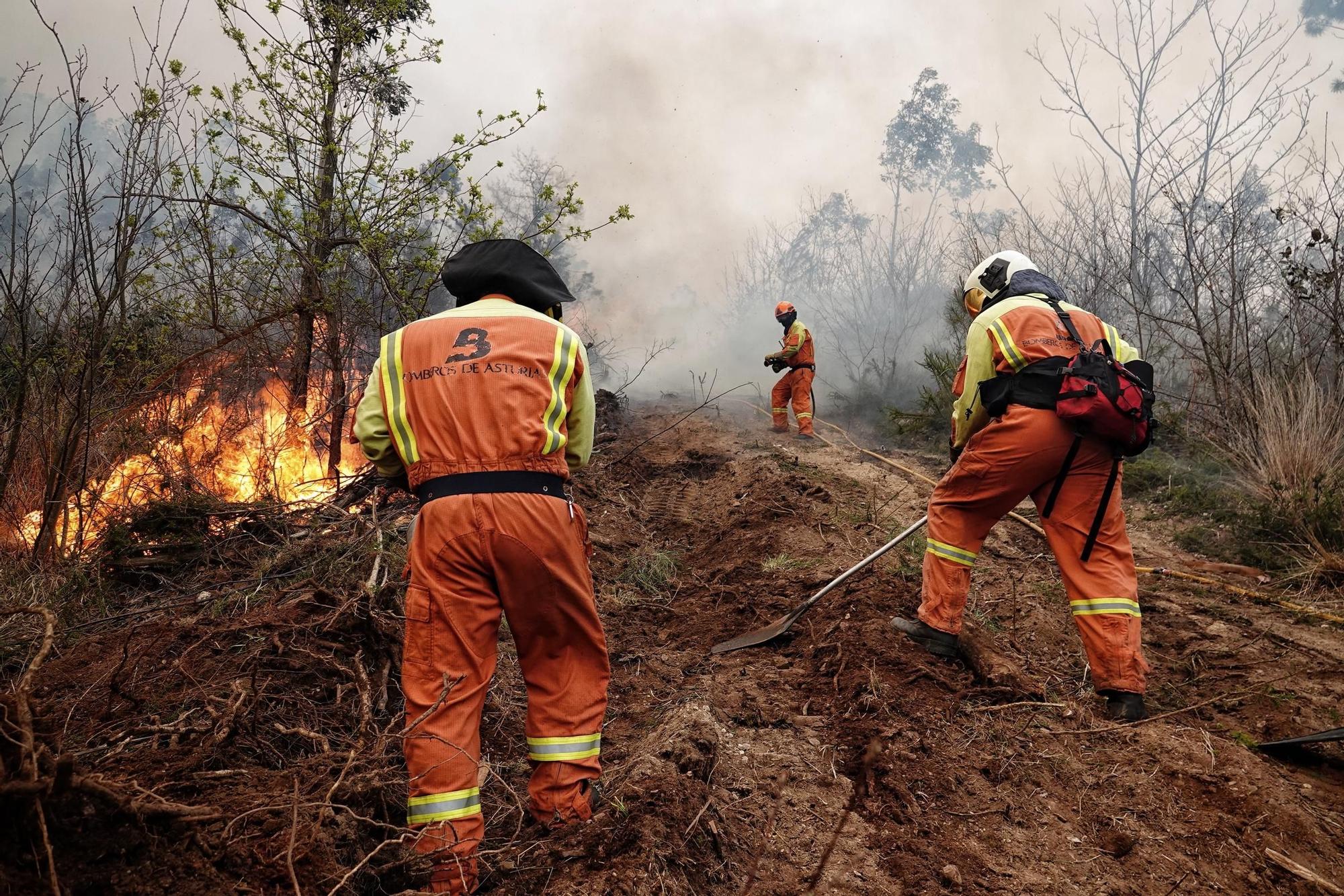 Bomberos trabajan en la extinción del incendio declarado entre Valdes y Tineo, en Asturias, el pasado marzo.