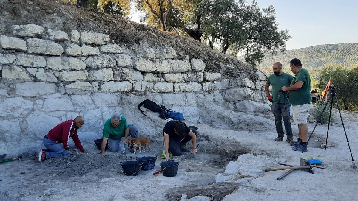 Arqueólogos  y voluntarios trabajan en el yacimiento arqueológico El Higuerón de Nueva Carteya.