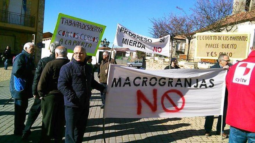 Protesta en la comarca tabaresa contra las granjas de porcino.