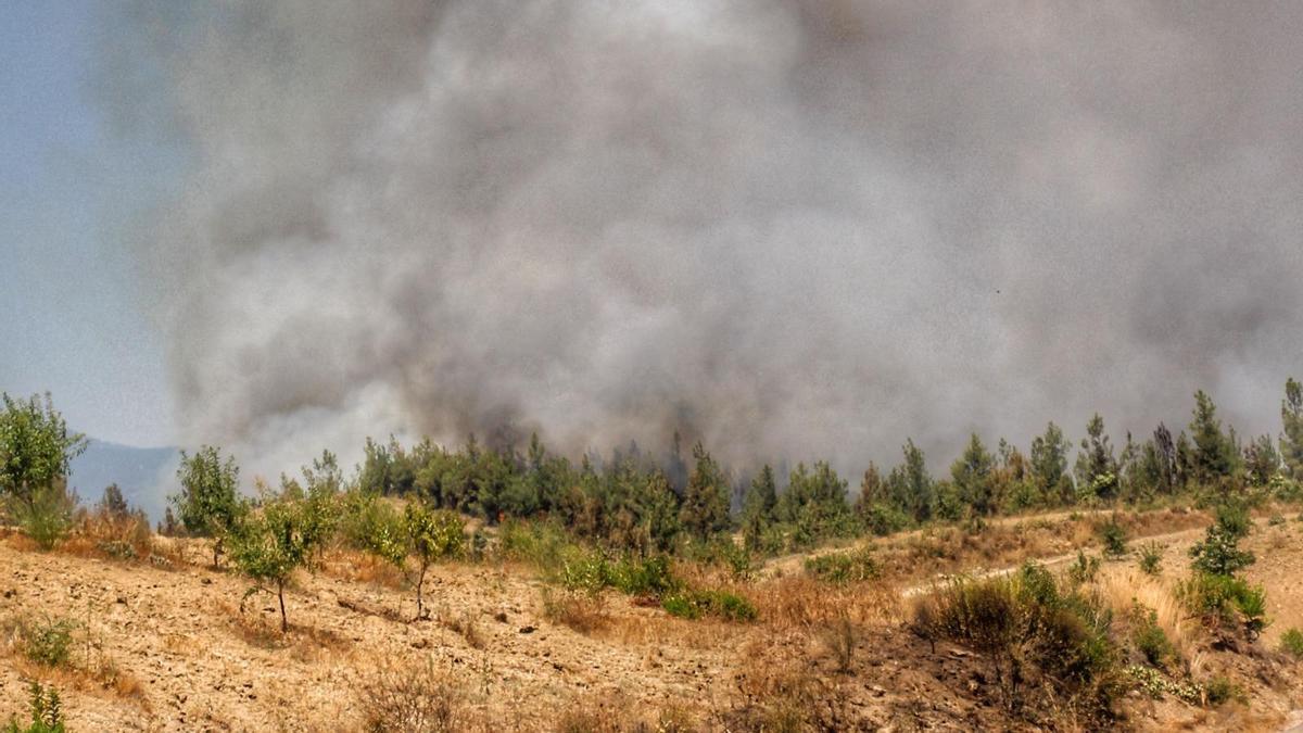 El incendio de Robledo continúa activo en Puebla de Sanabria y mantiene el nivel IGR 0.