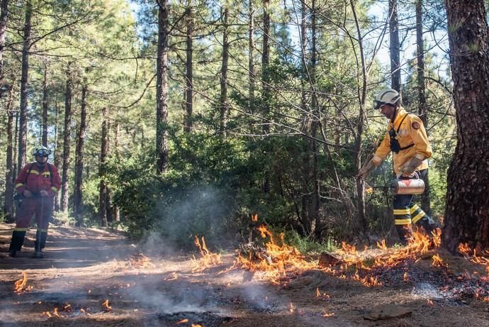 La UME realiza prácticas de prevención de incendios en Gran Canaria