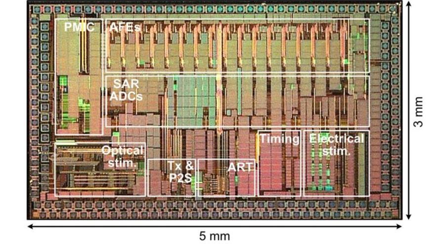 Un chip ilumina al cerebro para resolver sus enigmas