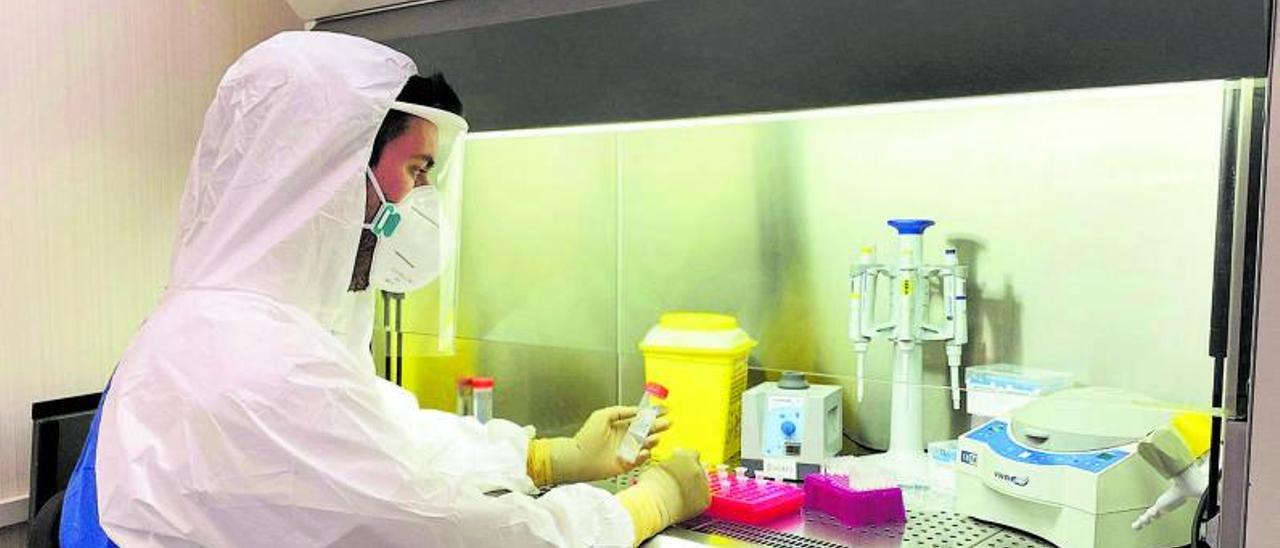 Muestras  de pacientes en un laboratorio.