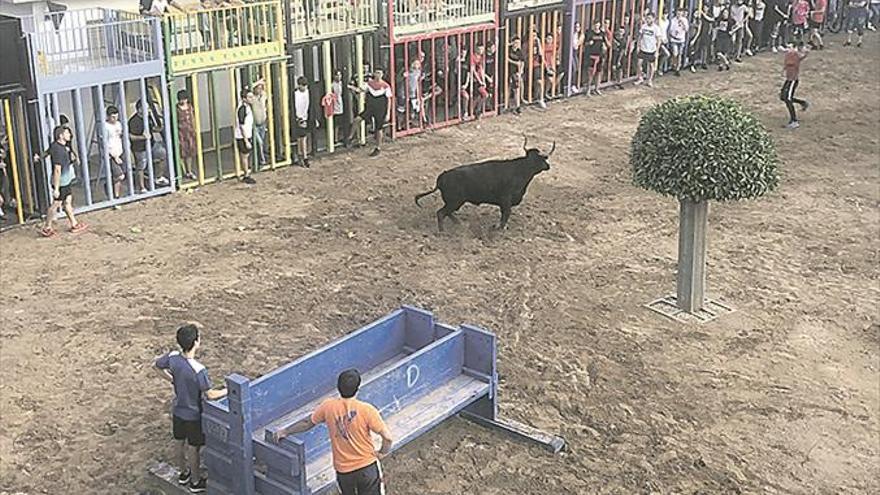 Autorizan la exhibición del toro anulado en la Vilavella