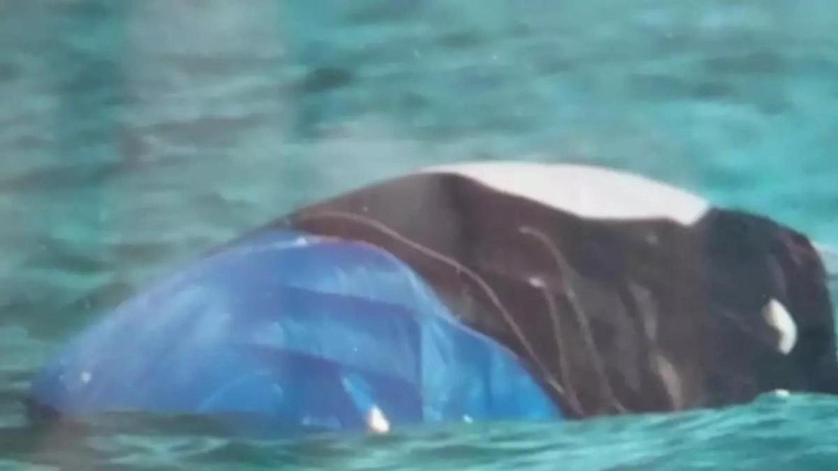 Un enorme bulto misterioso, a la deriva en aguas de Fuerteventura