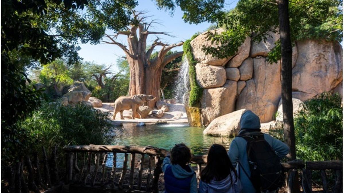 Una familia contempla a los elefantes en la Sabana africana de Bioparc Valencia.