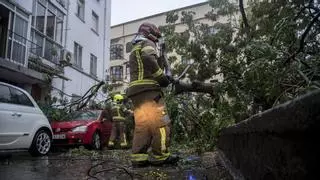 Los bomberos de Cáceres realizan continuas salidas por la lluvia y el Marco empieza a desbordarse en el tramo final