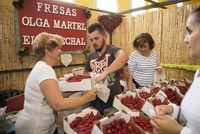 Fiesta de la Freasa en Valsequillo con concurso ...