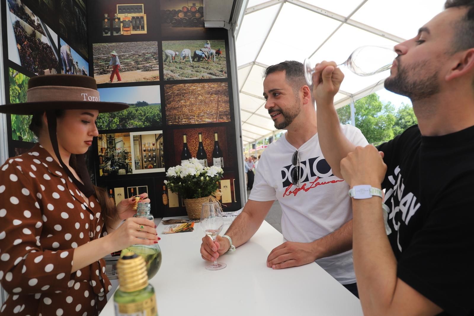 Sábado de Cata del Vino en Córdoba, en imágenes