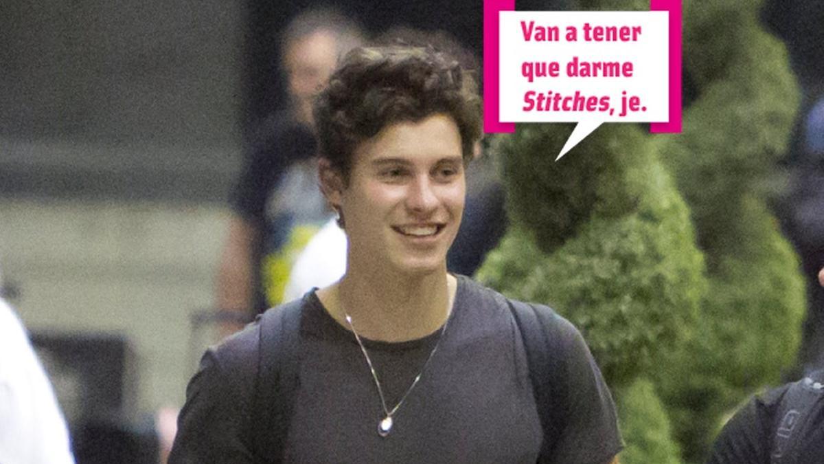 Shawn Mendes va a necesitar Stitches tras caerse con el patín