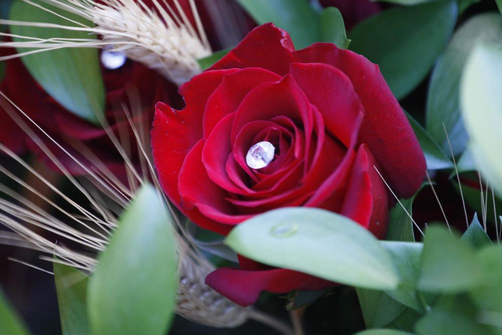 Sant Jordi a Girona