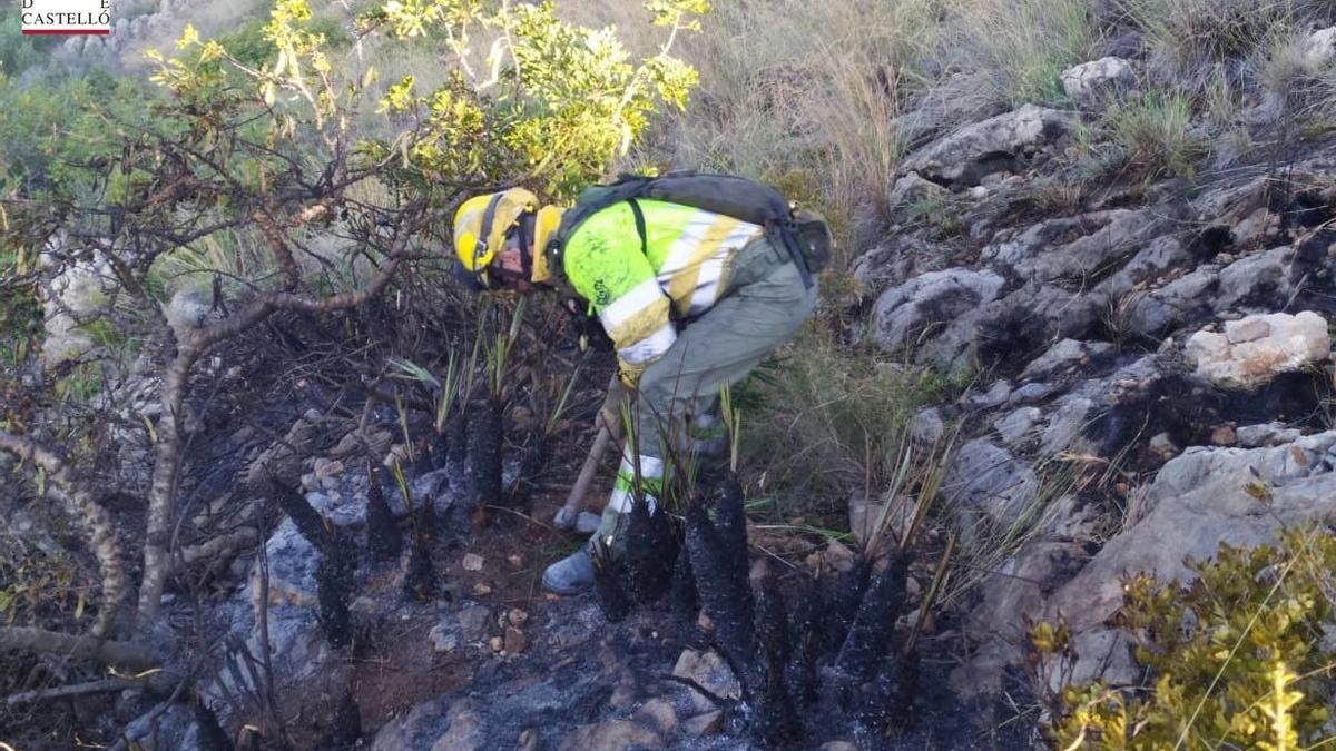 Pequeño incendio en el Desert de les Palmes