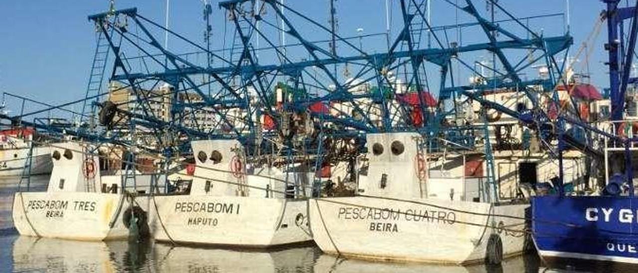 La firma ha logrado arrancar la campaña de langostino en Mozambique tras el ciclón Idai // D. Troncoso