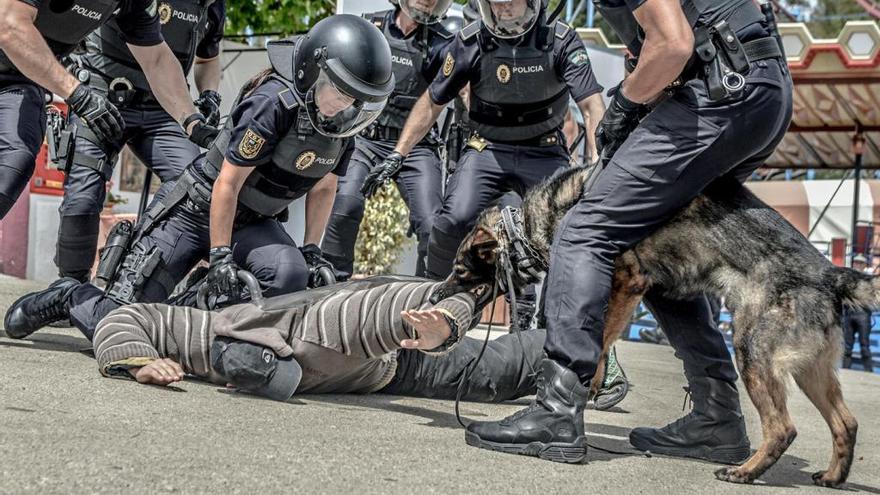 Exhibición de la Unidad Canina de la Policía Local.