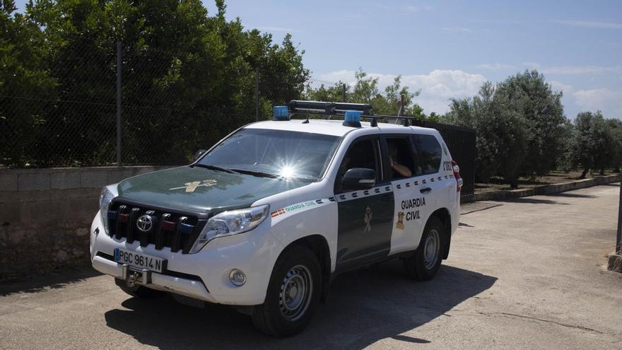 Fallece atrapado bajo un árbol en Carlet tras acudir a cortar leña