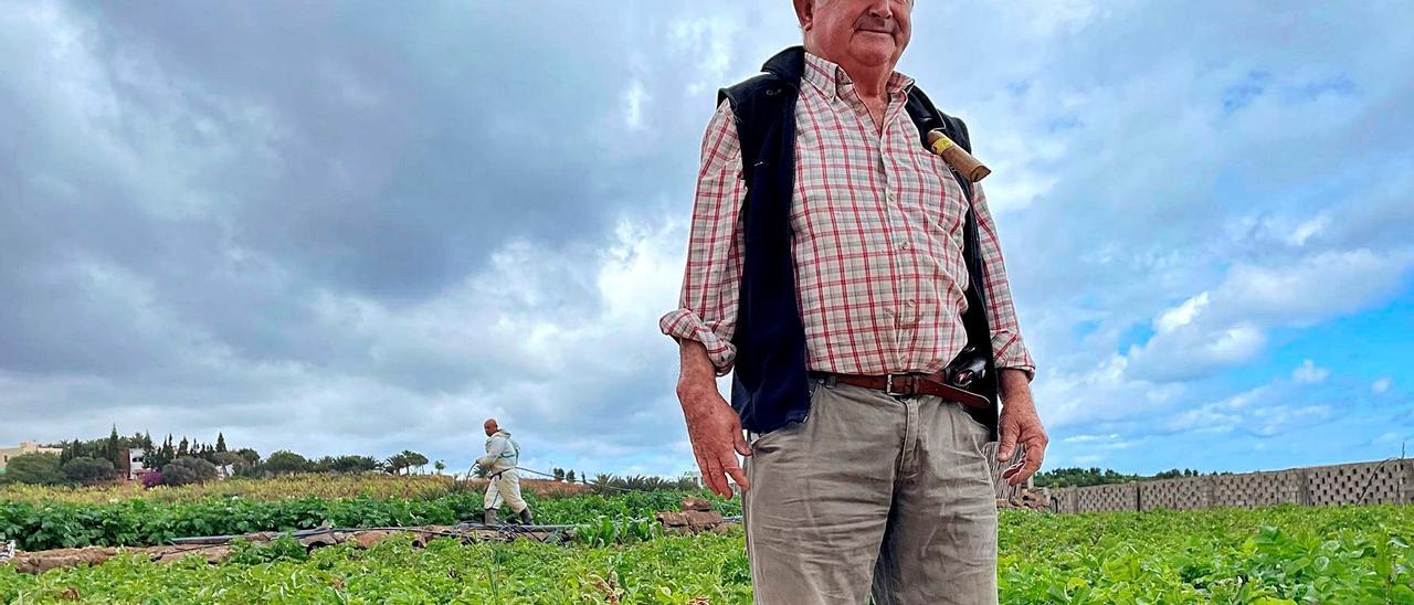 Modesto Hernández, agricultor de Fontanales.