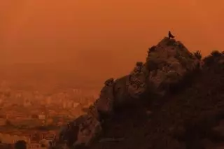 La calima convierte Elda en un escenario de ciencia ficción