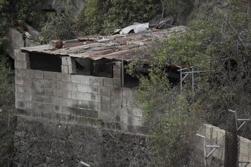 Finca de Arona donde han hallado animales muertos