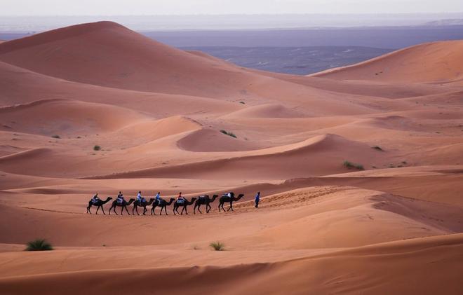 Sahara, Argelia