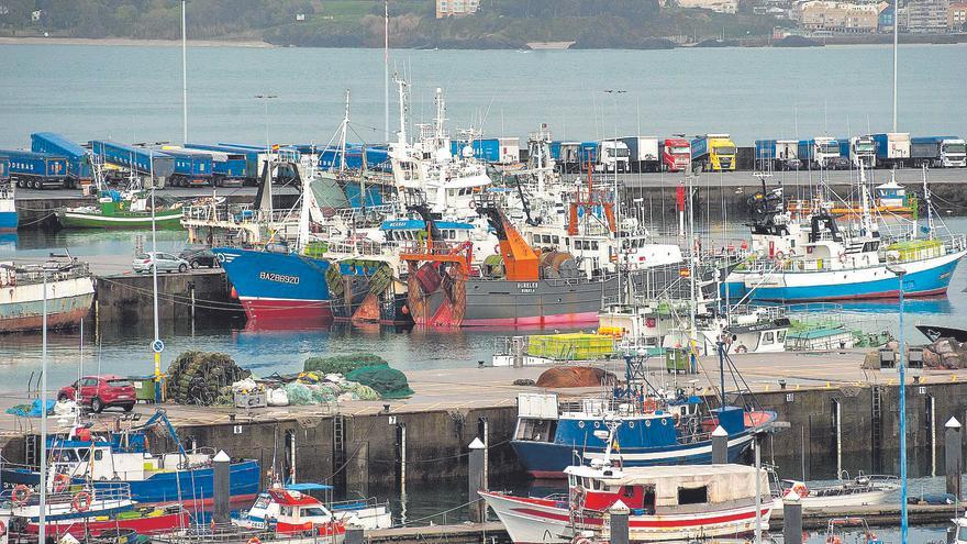 El sector pesquero de A Coruña exige encaje en los muelles del futuro: “No es solo la lonja, hay industria paralela”