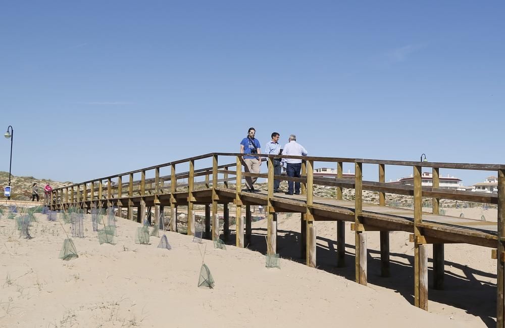 El Ayuntamiento de Torrevieja aprueba integrar casi 5 hectáreas de dunas y playa en el parque municipal del Molino del Agua