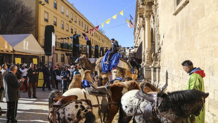 El Mercado Medieval de Orihuela cierra hoy con un considerable aumento de visitantes