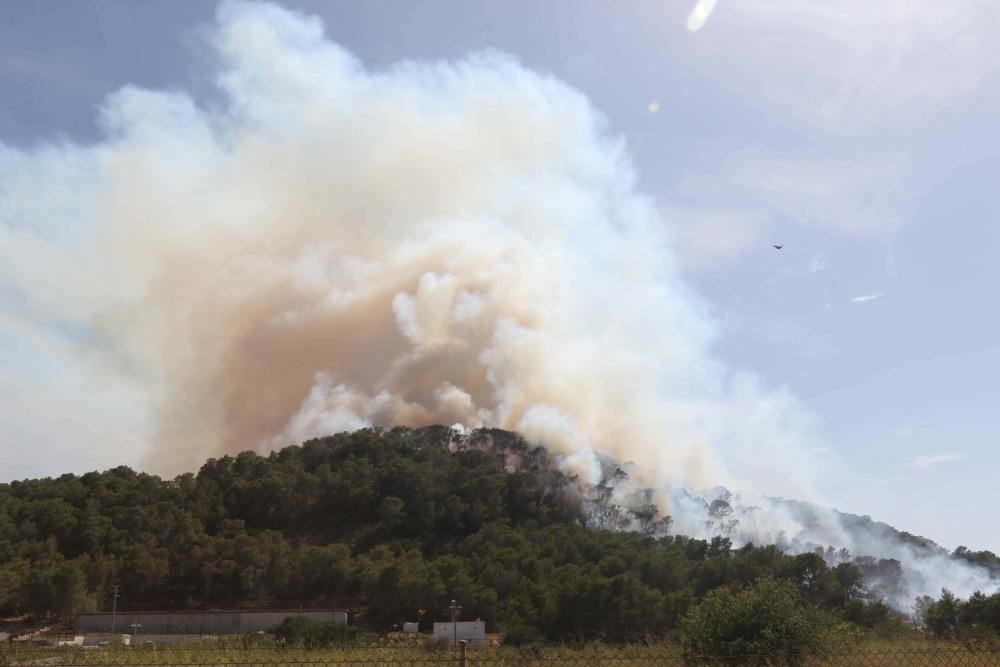 Efectivos y vecinos apagando el fuego