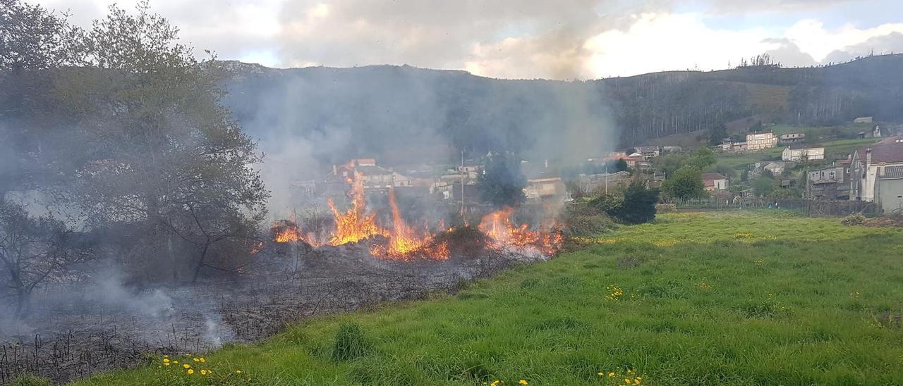 La zona afectada por el fuego.