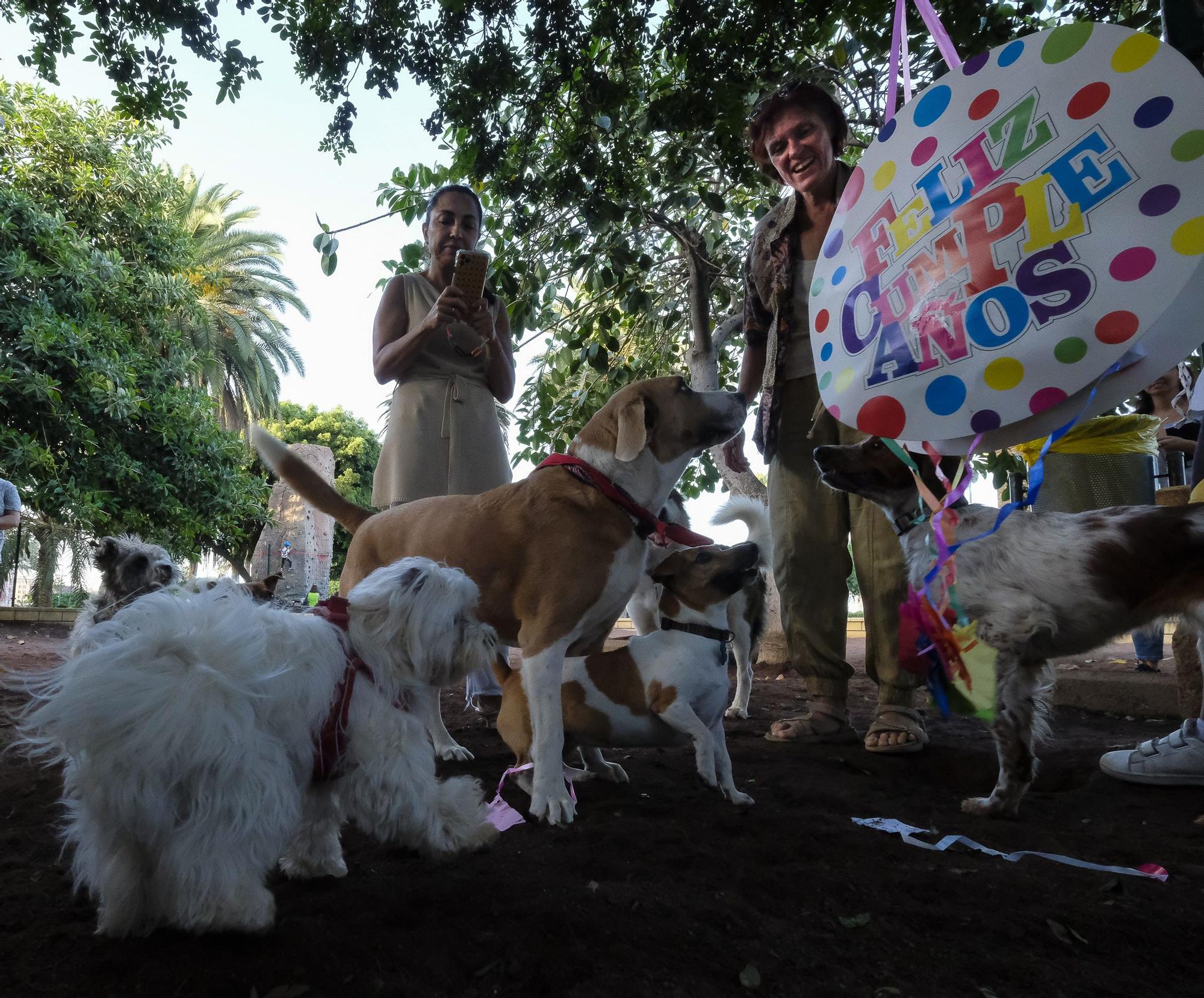 se permiten perros en el parque conmemorativo pinnaroo