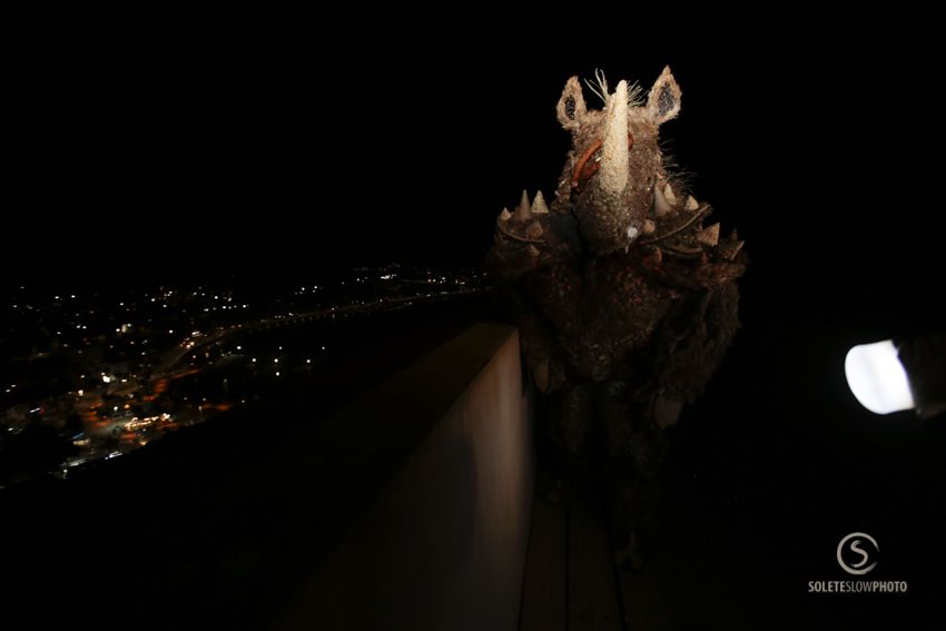 Suelta de la Mussona en el Carnaval de Águilas