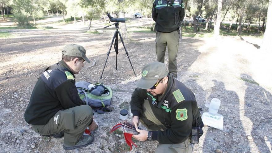 Agentes medioambientales preparan el material en una zona de El Valle, en La Alberca, en una imagen de archivo.