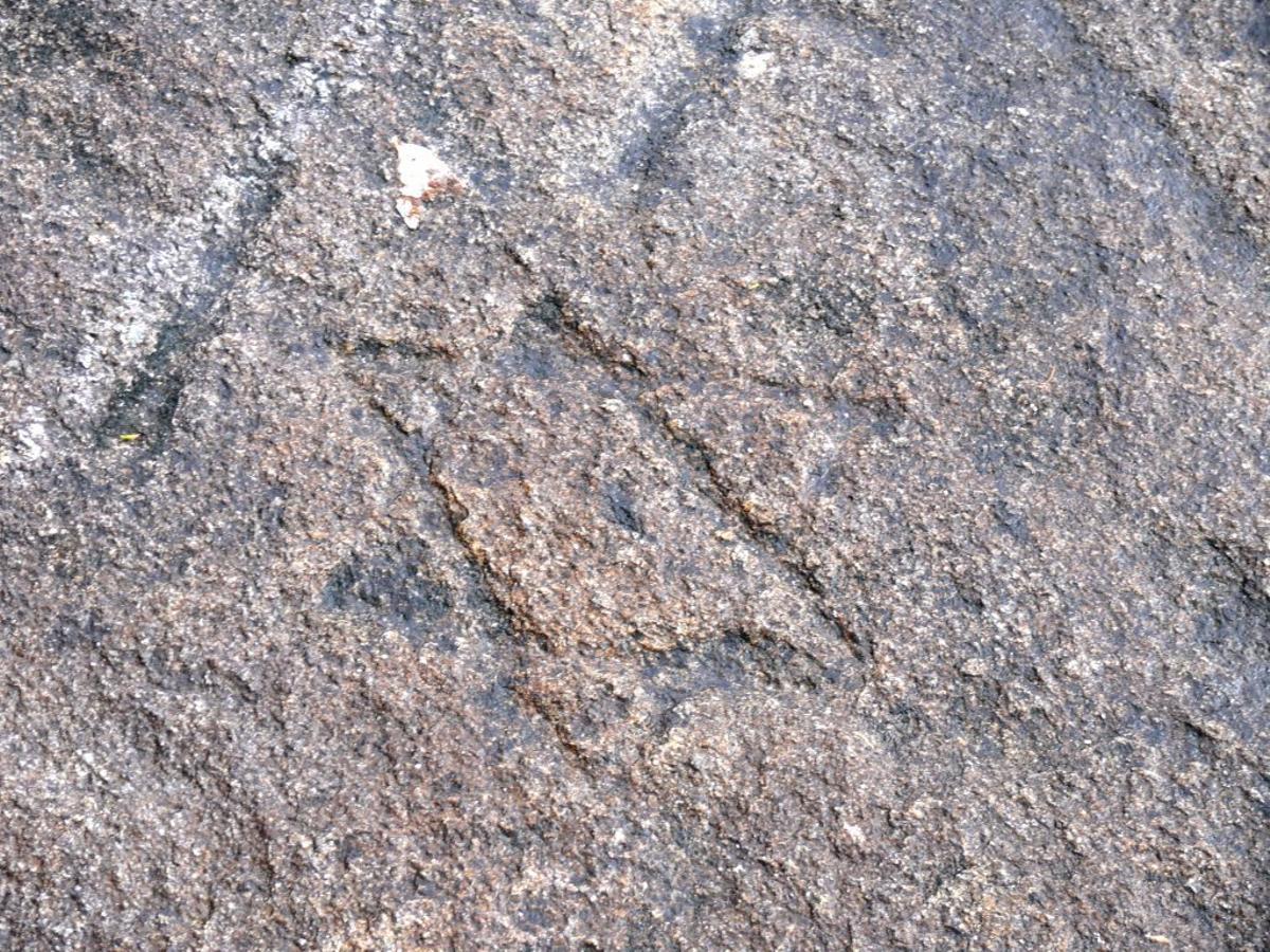 En el petrogligo de Foxa Velal hay un símbolo similar a una estrella de David.
