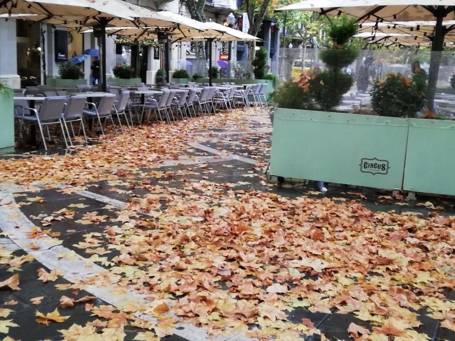 Milers de fulles cobreixen els carrers de Manresa