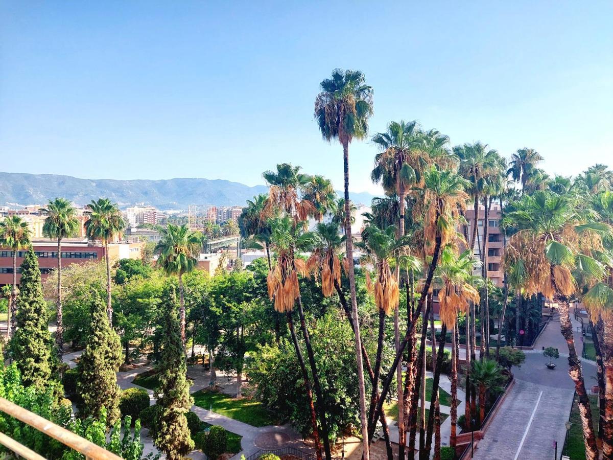 Piso en Barrio del Carmen, Murcia