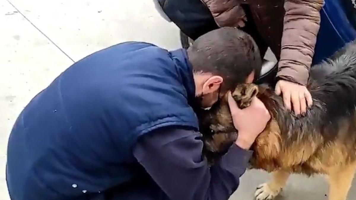 El perro se ha reencontrado con su familia.