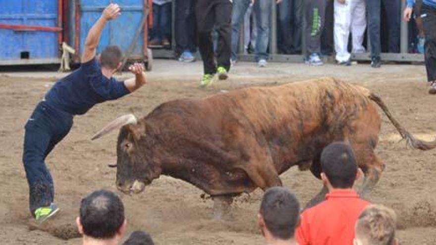 El futuro de los &quot;bous al carrer&quot;