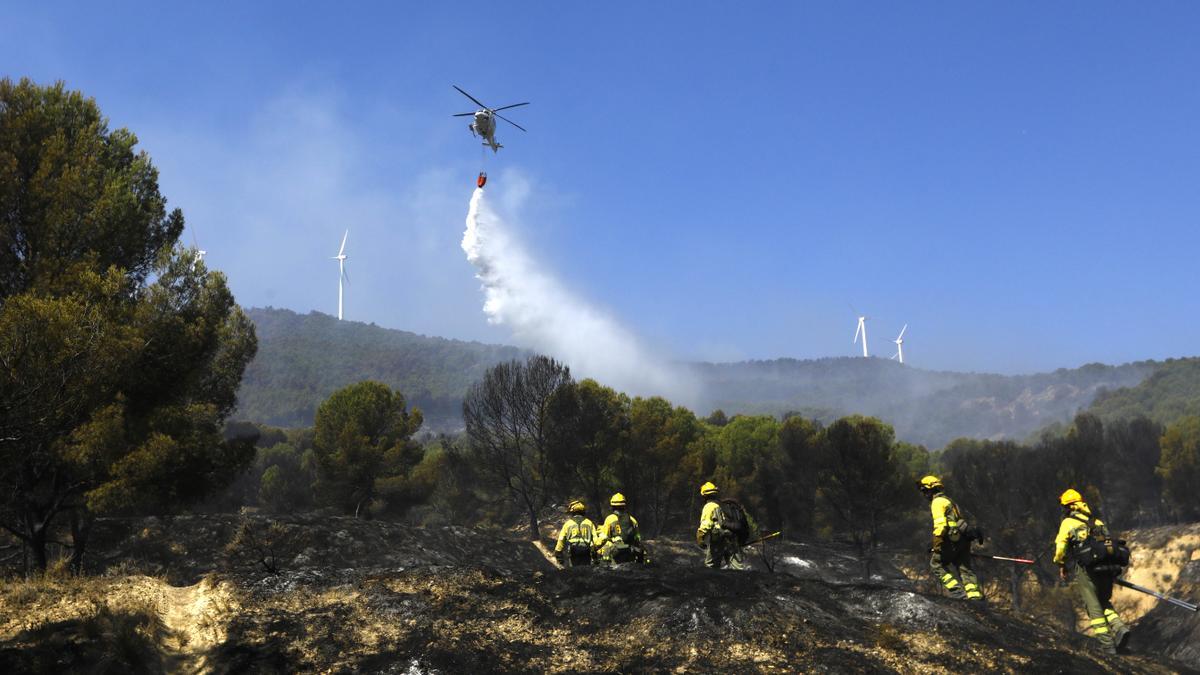 Lucha contra el fuego en el incendio en las estribaciones del Moncayo.